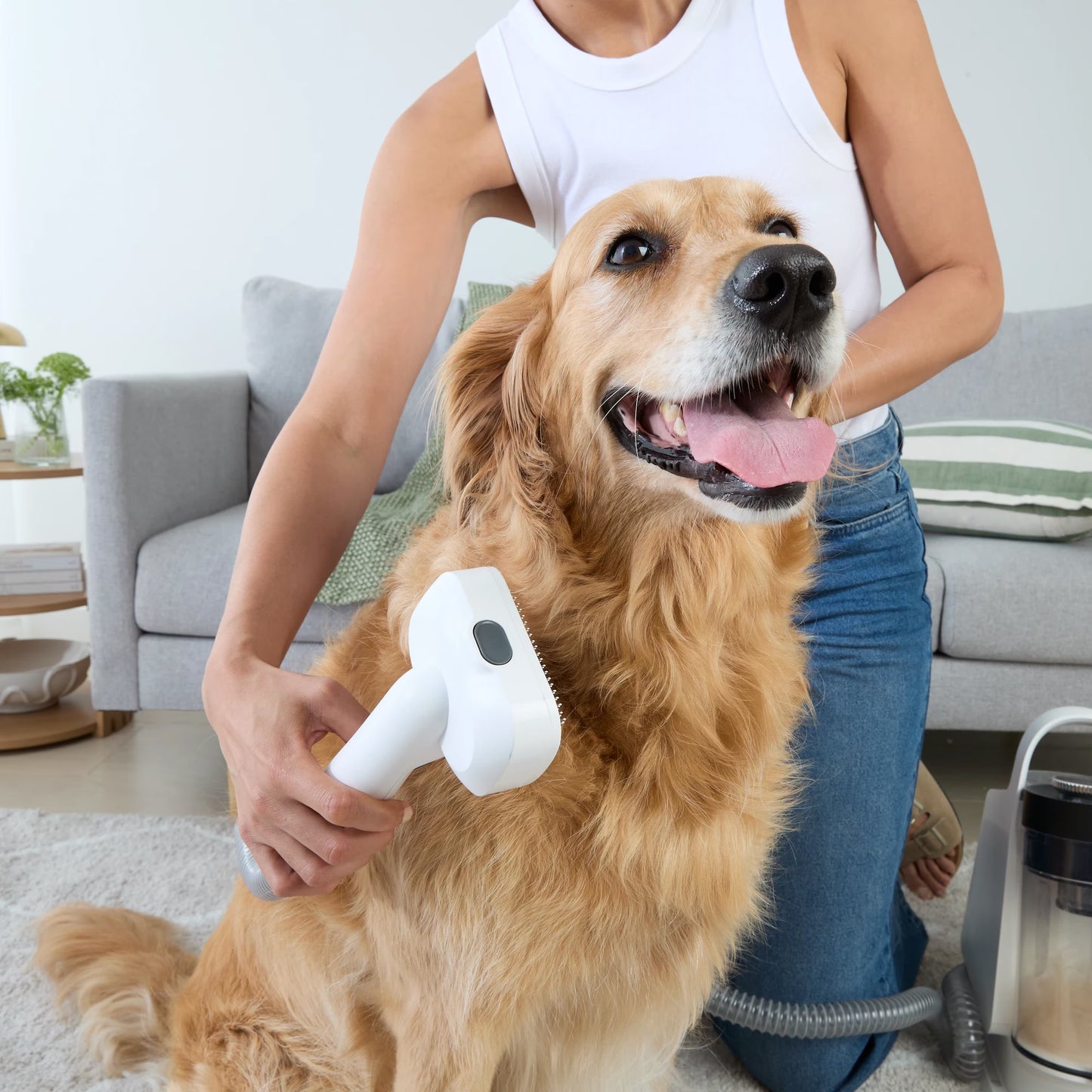 🐾 BundaLux™ – Gőzös Szőrápoló Kefe